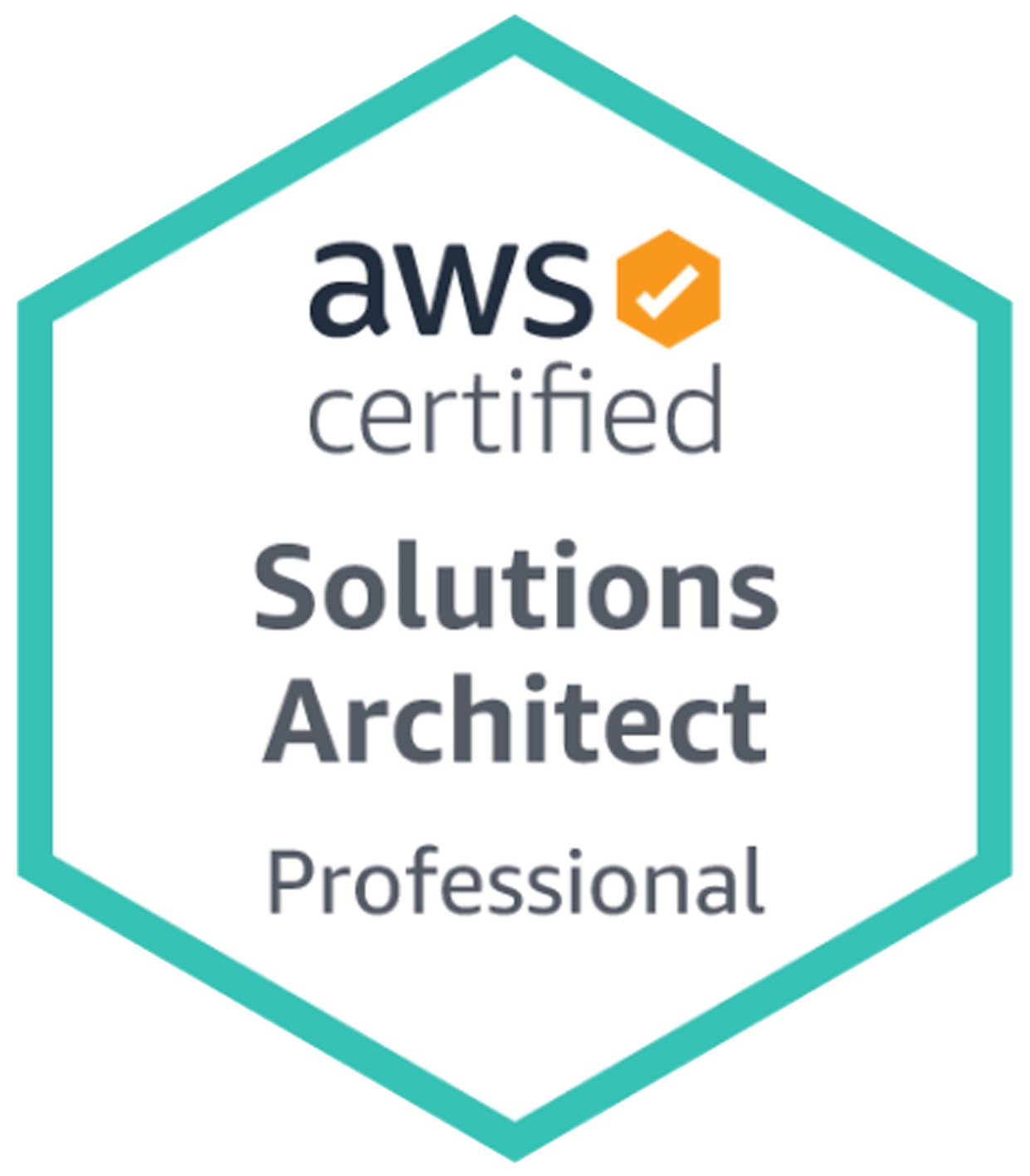 aws solution architect professional